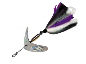 Boomerang Purple